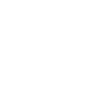 Shallow World